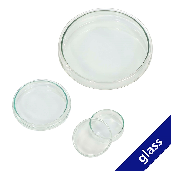 Glass Petri Dishes 60 x 15 mm